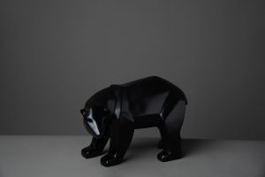 Oso polar Negro